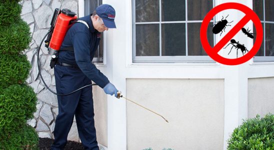 Konyaaltı Dezenfeksiyon böcek ilaçlama ve haşere kontrolü — ilaclama-tr.com